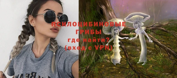 МДПВ Бронницы